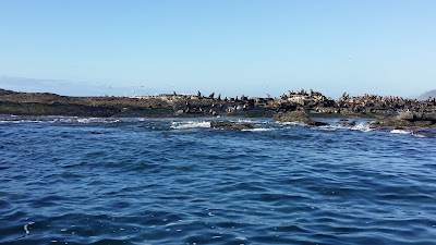 Photos of Marriner's Lookout