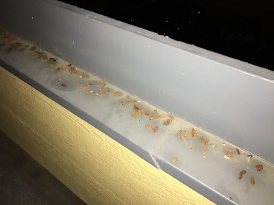 Photos of Sterling Place Apartments