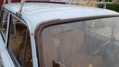 Photos of Siaures ziedas