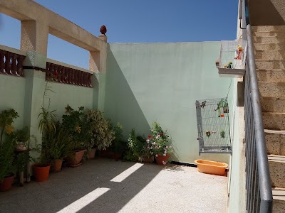 Photos of Le jardin