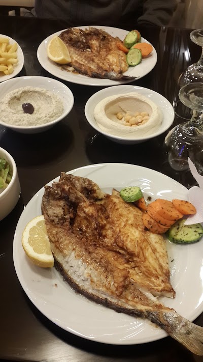 Photos of Ocean Seafood Fish