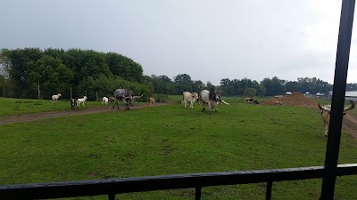 Photos of Dutch Creek Farm Animal Park
