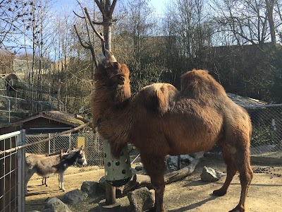 Photos of Johns kleine Farm Kallnach