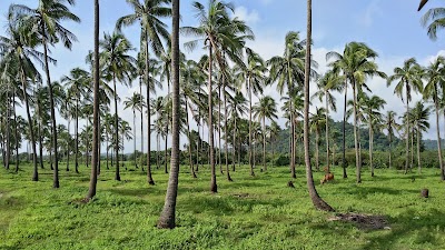 Photos of Kaing Taw Kwin
