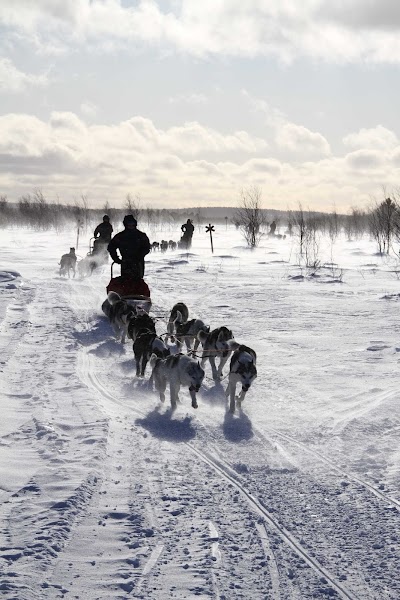 Photos of Hetta Huskies