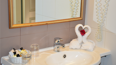 Photos of Metsis hotell