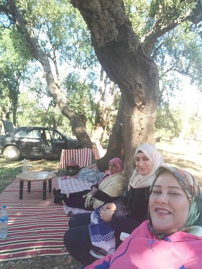 Photos of Pharmacy Ibn Khaldoune