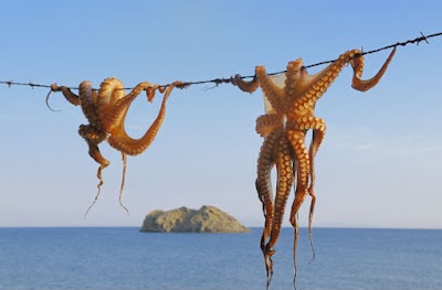Photos of Tripiti port