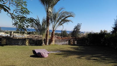 Photos of Kom El Dikka Restaurant