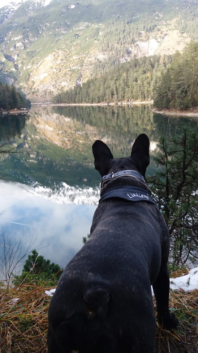 Blindsee