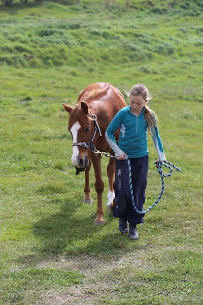Photos of Kowhai Residential School of Riding ltd