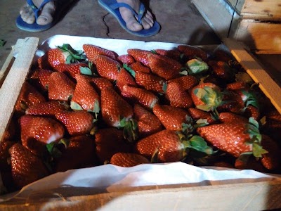 Photos of Mercado de Corrientes