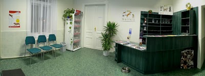 Photos of BONAVET Ltd. - veterinary clinic