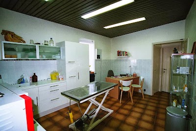 Photos of V&eacute;t&eacute;rinaires Balfroid Delphine et Cheu Esteban