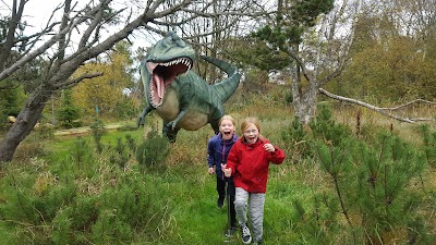 Photos of Skagen Camping