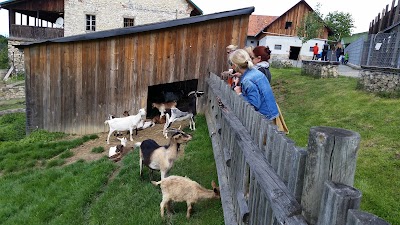 Photos of B&auml;renhof-Berghausen
