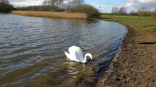 Pugneys Watersports Centre and Country Park