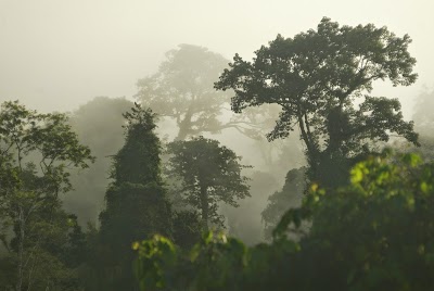 Photos of Rafiki Safari Lodge