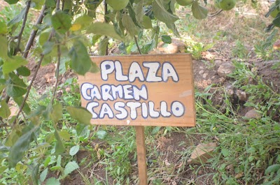 Photos of Campamento R&iacute;o Quino GBU