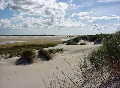 Photos of Terschelling Recreatie de Riesen
