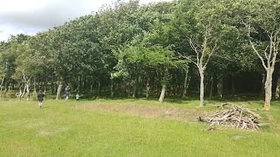 Photos of N&oslash;rreskoven