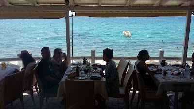 Photos of Pizza Top Bar Restaurant