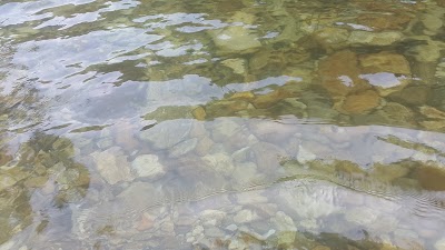 Photos of 솔밭캠프장