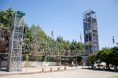 Photos of Skouras Sports Camp