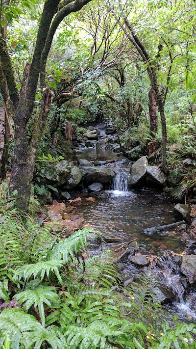 Photos of Washpen Falls