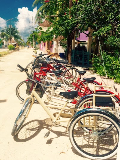 Photos of La Bicla Bike Rent