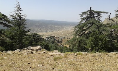 Photos of فندق شليا خنشلة