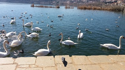Photos of Lake Orestiada