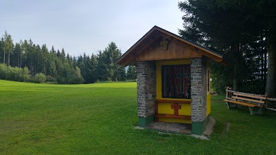 Photos of Hotel Moselebauer