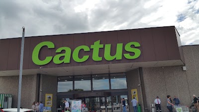 Photos of Cactus Howald
