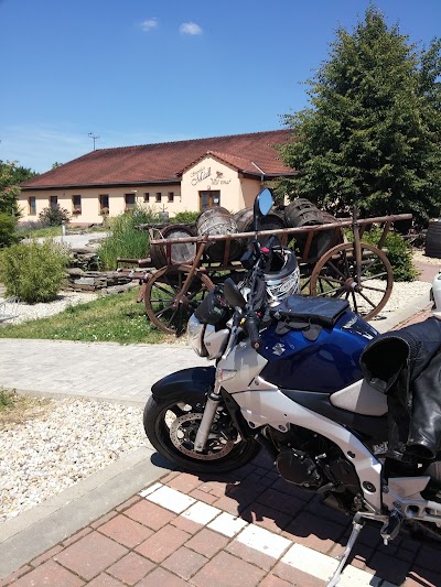 Photos of Hotel Madl