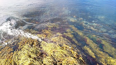 Photos of Saltstraumen Brygge