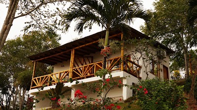 Photos of NATIVA BAMBU Ecolodge