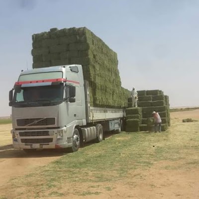 Photos of Supermarket Elsahel By Shazaco L.L.C