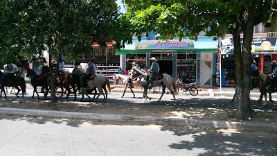 Photos of Hotel Moreno Viejo