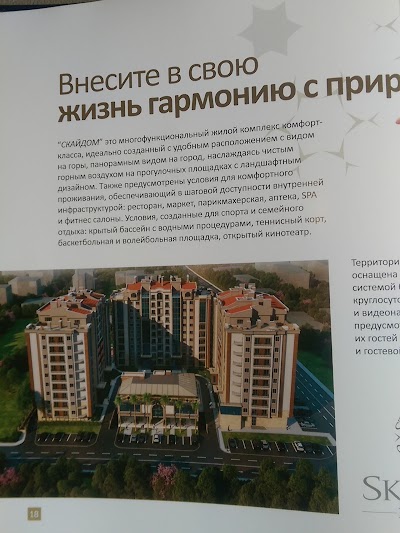 Photos of Skydom Building Site