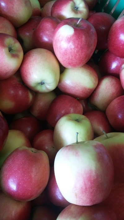 Photos of Delhaven Orchards
