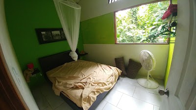 Photos of Jungle Green House
