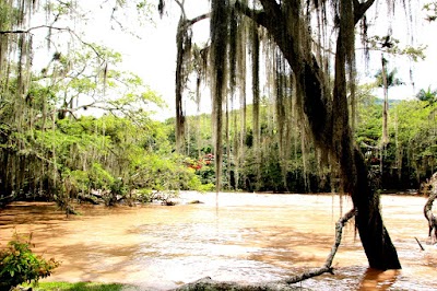 Photos of Refugio del Raizal