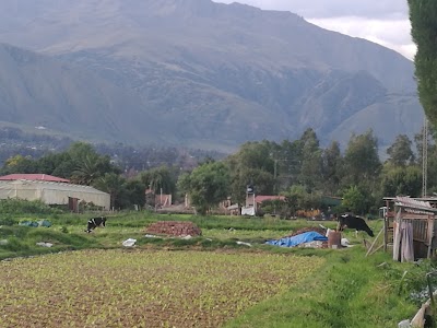 Photos of Villa Albina