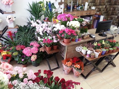 Photos of Martı&ccedil;i&ccedil;ek&ccedil;ilik