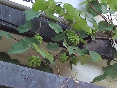 Photos of Balangoda Base Hospital