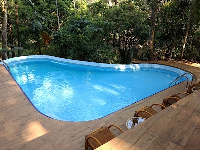Photos of Le leopard d 'argent