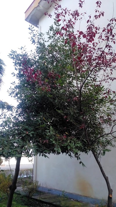 Photos of Aftab Residential Complex