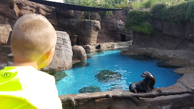 Photos of Indianapolis Zoo