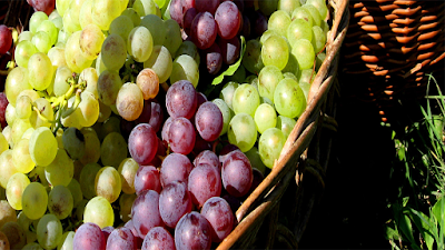 photo of Gulbanis Wine